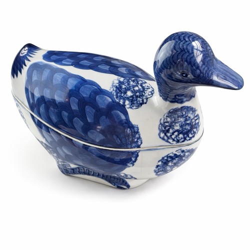 Blue white duck - &, nest