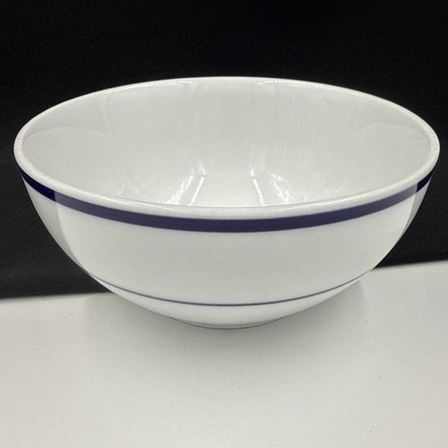Oneida maitre porcelain - maitre, (1)