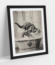 Elephant splashing bath - elephant,