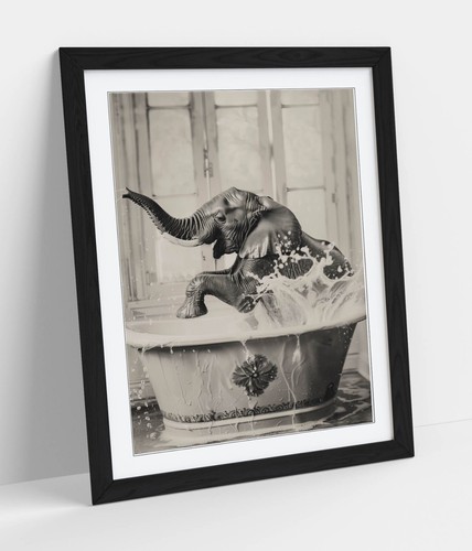 Elephant splashing bath - in,