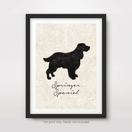 Springer spaniel dog - springer,