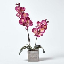 Artificial Burgundy Orchids in Stone Pots, 57 cm