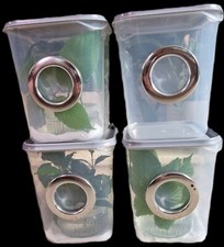 Budget Insect Nursery Tank, Vivarium,Stick Insect, Praying Mantis, Enclosure