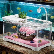 Small medium aquarium fish - small,