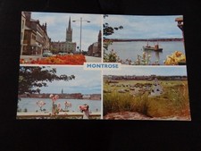 Multiview Montrose Postcard -
