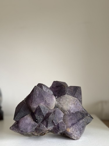 3kg large stunning - large,