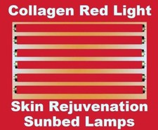 New collagen red light skin - collagen,