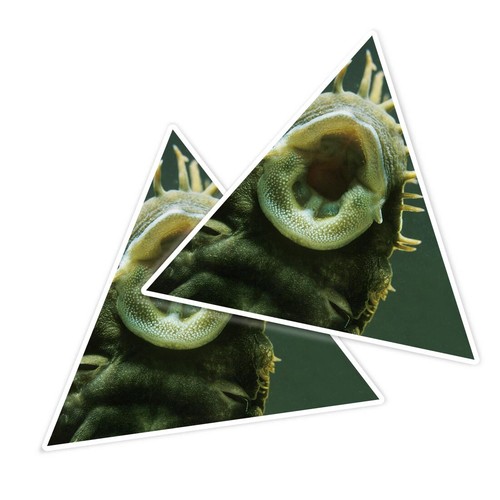 Triangle shape vinyl - 2x,
