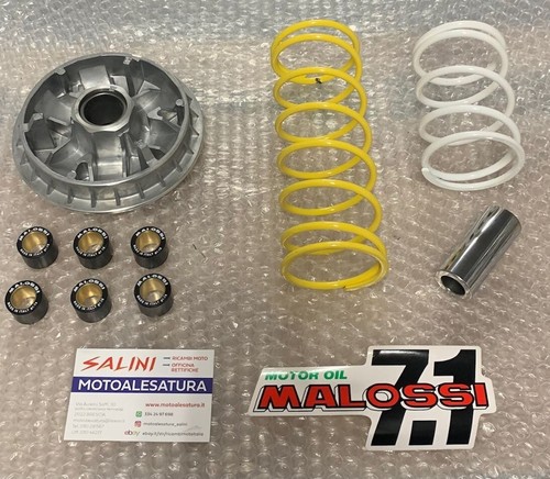 Malossi multivar variator - malossi,