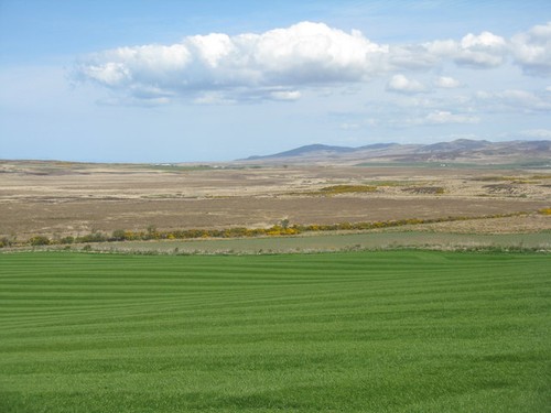 Photo farmland near - photo,