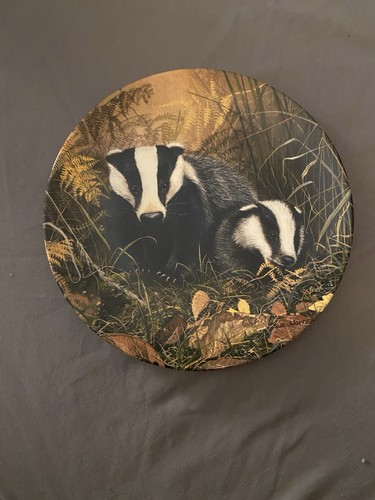 Badgers the forest edge - at,