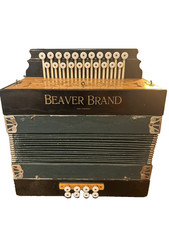 Beaver Brand Antique 21 Button