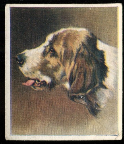 Tobacco card godfrey - tobacco, card,