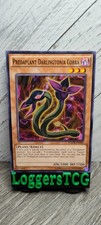 Yu-Gi-Oh! Predaplant Darlingtonia Cobra / MACR-EN010 UNLIMITED LP