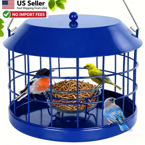 Gbekery bluebird feeder - feeder, caged