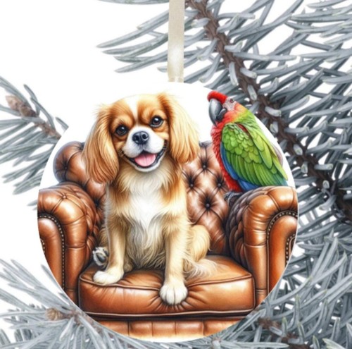King charles cavalier spaniel - charles,
