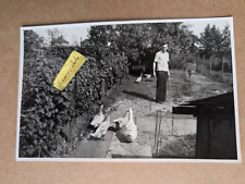 OLD PHOTO MAN BIRDS PEN DUCKS ANIMAL SV 578