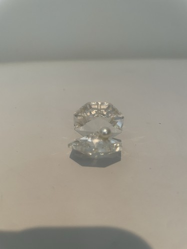 Crystal oyster clam shell with - crystal,