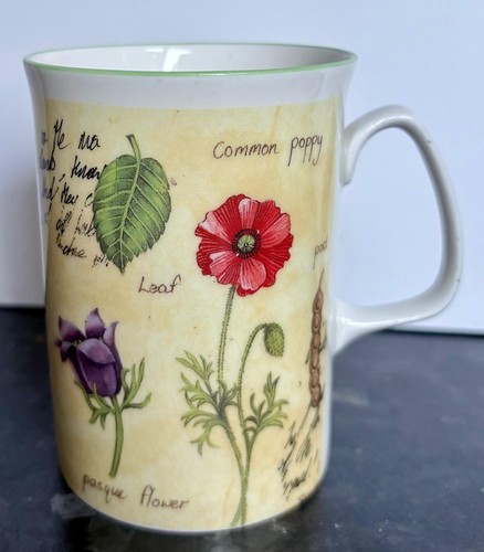 Vintage collectable rose - collectable,