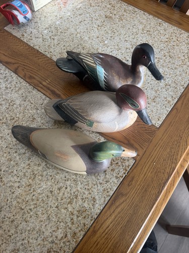 Ducks unlimited sponsor decoy - ducks,