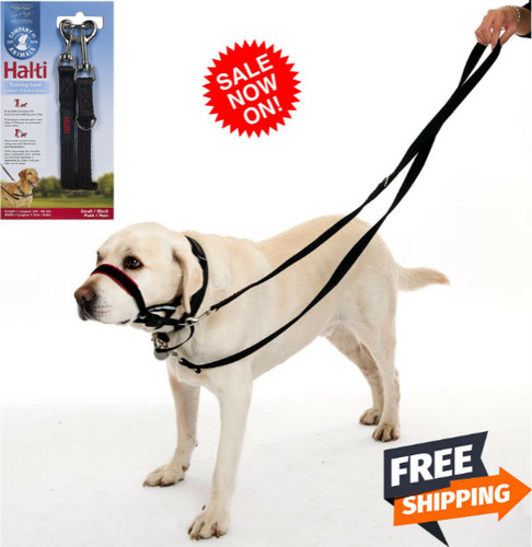 Pull dog lead - no, ended