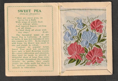 Kensitas silk flower - , medium
