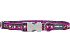 Red Dingo Patterned Dog Collar -Daisy Chain Purple - FREE P&P