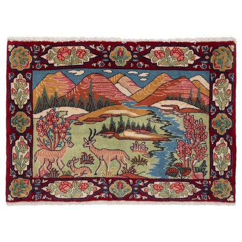 Kashan cm hand knotted - x,