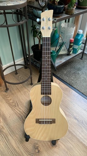 Brunswick bu5ce concert - brunswick,