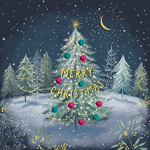 Charity christmas cards - christmas,