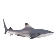 Mojo BLACK TIP REEF SHARK