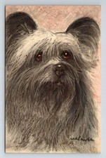 Animal Postcard: Dog Artist