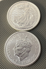 ✨  2023 1 oz Silver