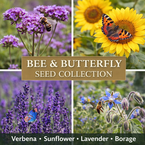 Bee butterfly seed - 🐝🦋,
