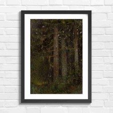Dark Forest Tree Trunks Nature