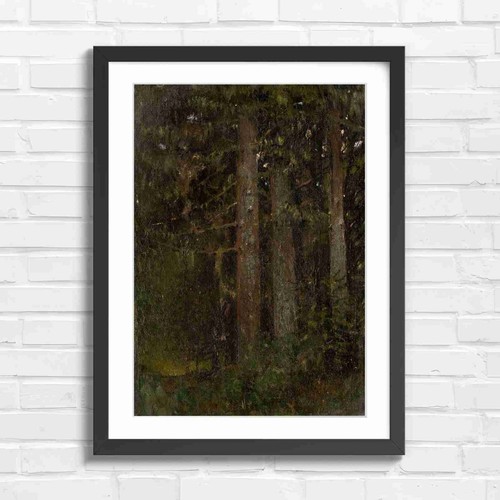 Dark forest tree trunks nature - dark,