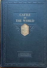 VINTAGE 1926 Cattle of the