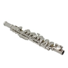 `Detachable Silver Plated C