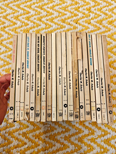 Vintage peanuts charlie - peanuts, /