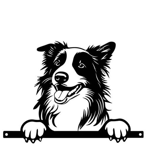 Border collie fence topper - collie, –