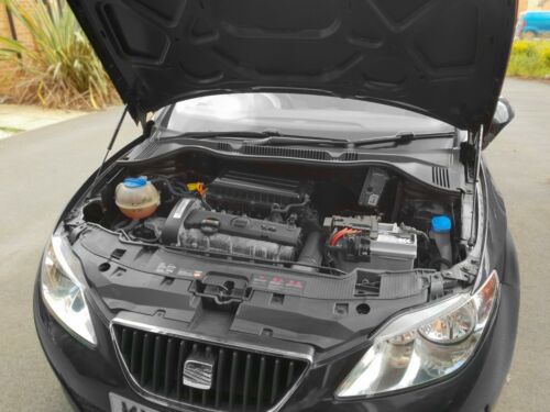 Bonnet hood gas strut - bonnet, lifter