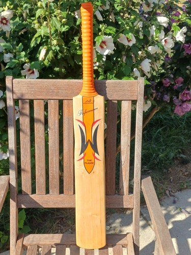 Woodworm the flame - woodworm,