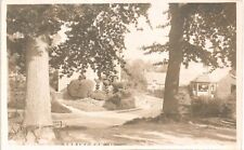 Ebrington near Chipping Campden # 11. Trees & Topiary.