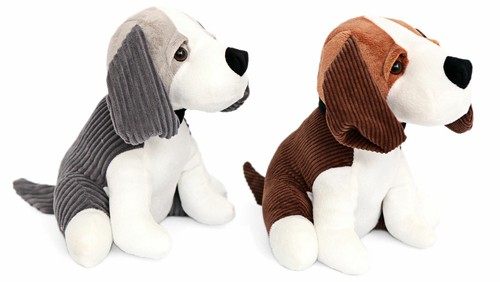 Charming beagle dog - charming,