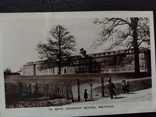Boys grammer school watford - boys,