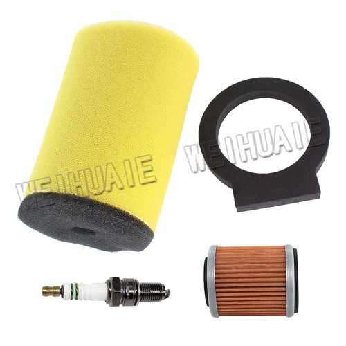 Dual stage air filter for - dual,