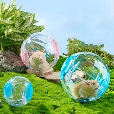 Hamster Running Ball Clear