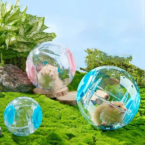 Hamster running ball clear - running,