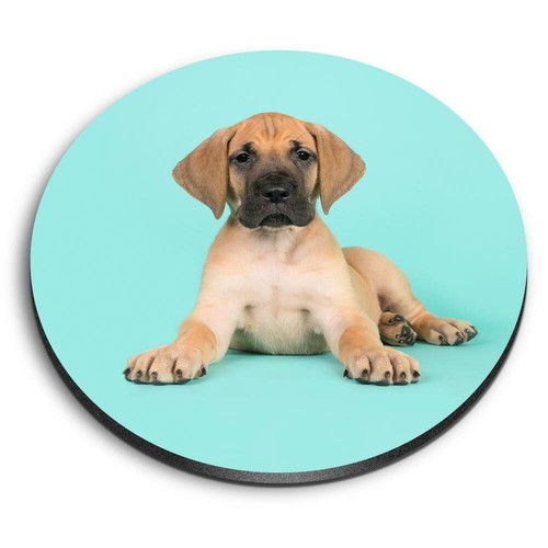 Round mdf magnets - mdf,