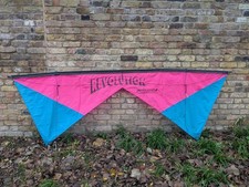 Pink with teal wingtips